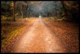 /album/reiki-fur-dich/a75eb1f30f2378e1ecbe76d07e3f010b2-jpg1/