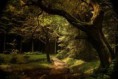 /album/reiki-fur-dich/a5b0f6a3614294e24f73c1557186f587-jpg1/