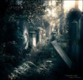 /album/reiki-fur-dich/forgotten-light-by-dr4kon-jpg1/