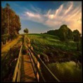 /album/reiki-fur-dich/return-to-twilight-by-rad-ix-jpg1/