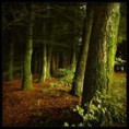 /album/reiki-fur-dich/the-darkness-the-lightness-by-rad-ix-jpg1/