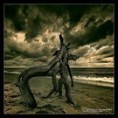 /album/reiki-fur-dich/the-last-march-of-ents-by-angelreich-jpg1/